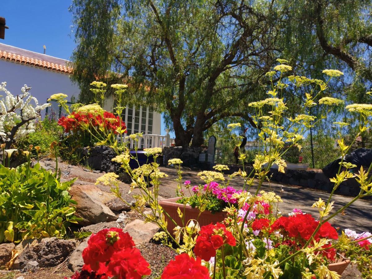 Dolores Con Piscina Y Vistas A La Gomera