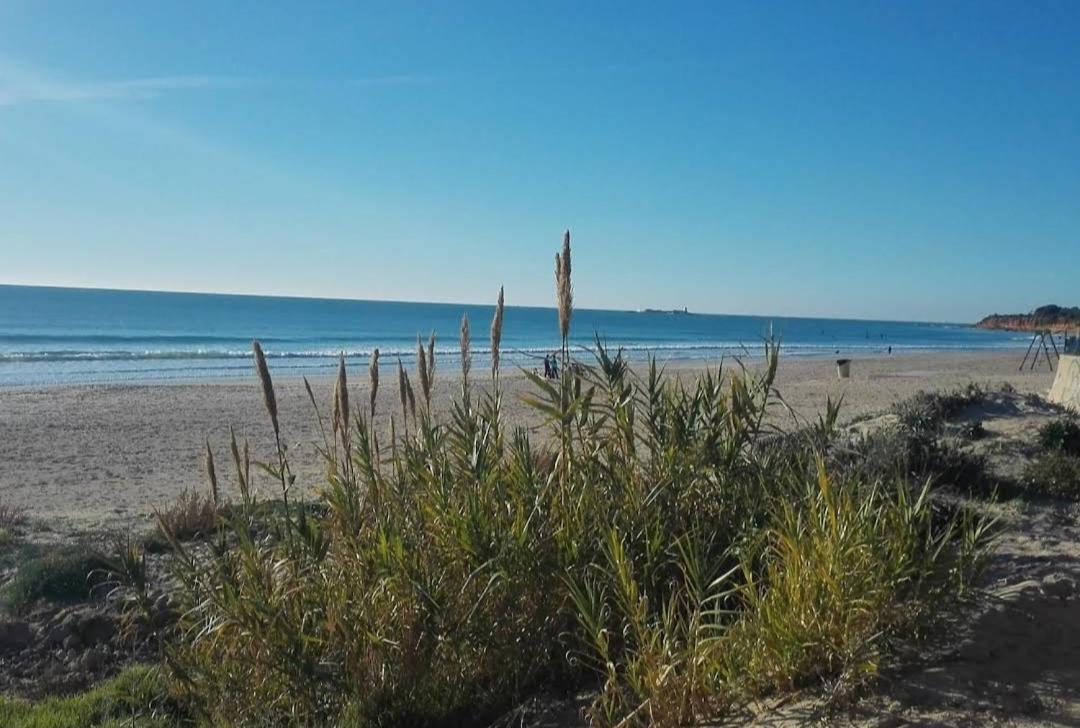 Apartamento Novo ,chiclana