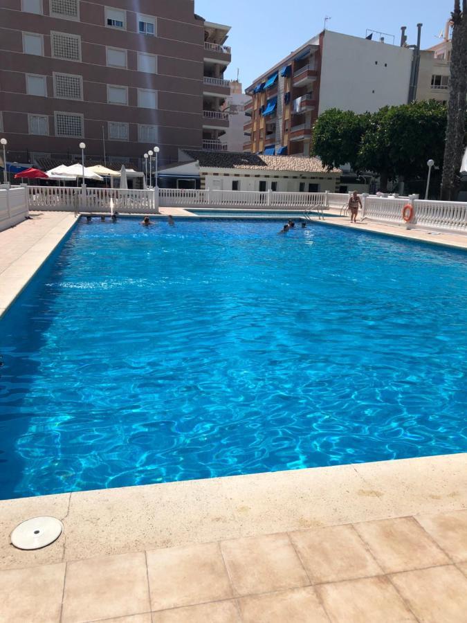 Palmeral Locos Torrevieja