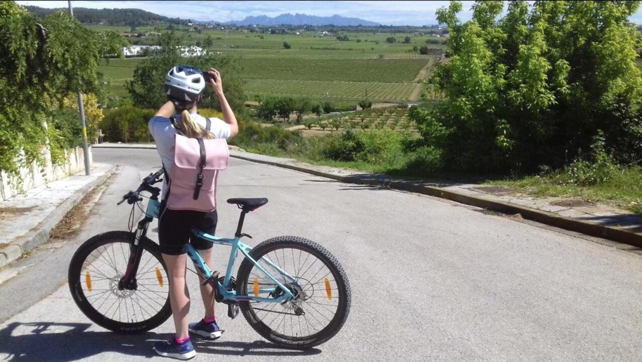Tina De Vila, En La Capital Del Vino * Vilafranca del Penedès