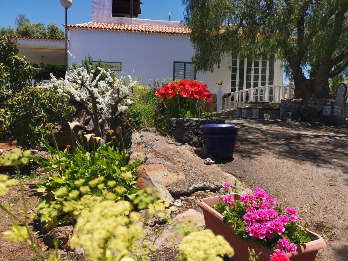 Dolores Con Piscina Y Vistas A La Gomera Сasa de vacaciones *