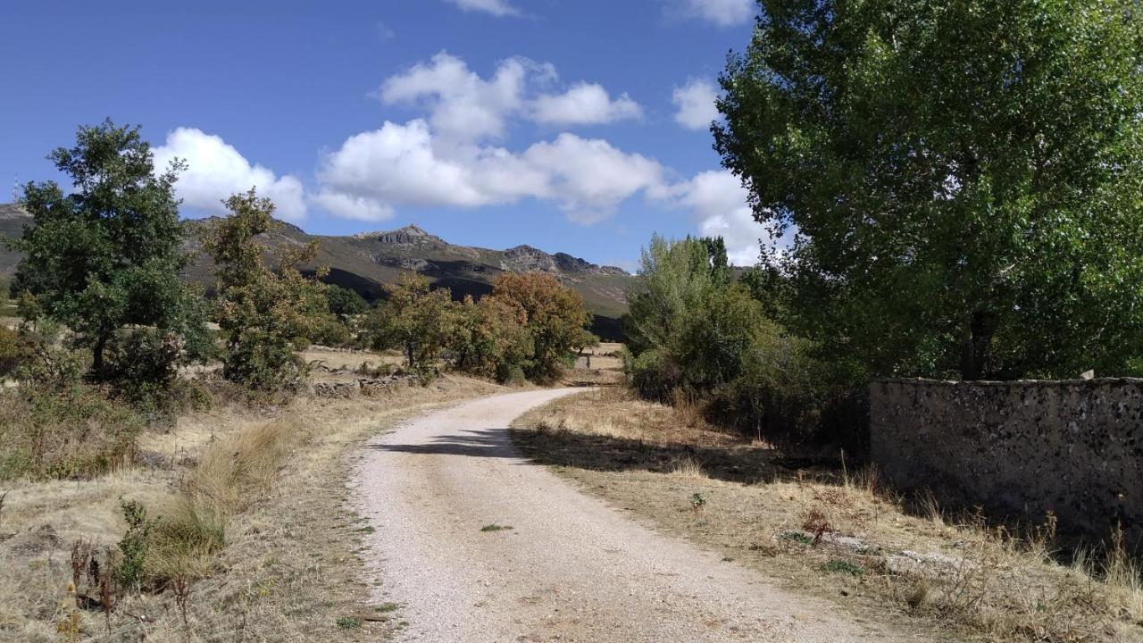 La De Alicia *