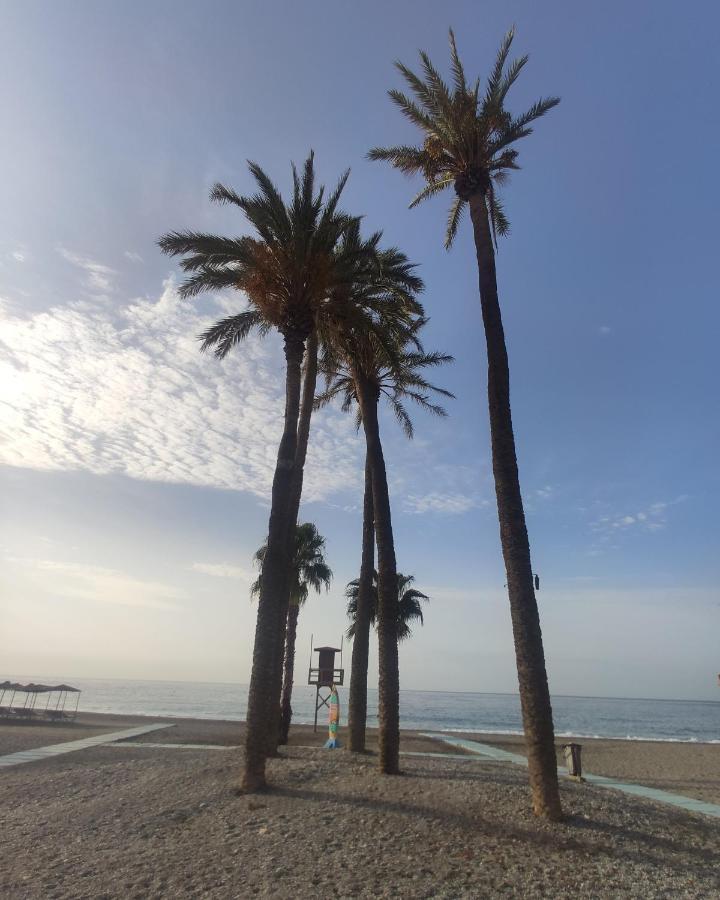 Apartamento Tropicana 1° Línea