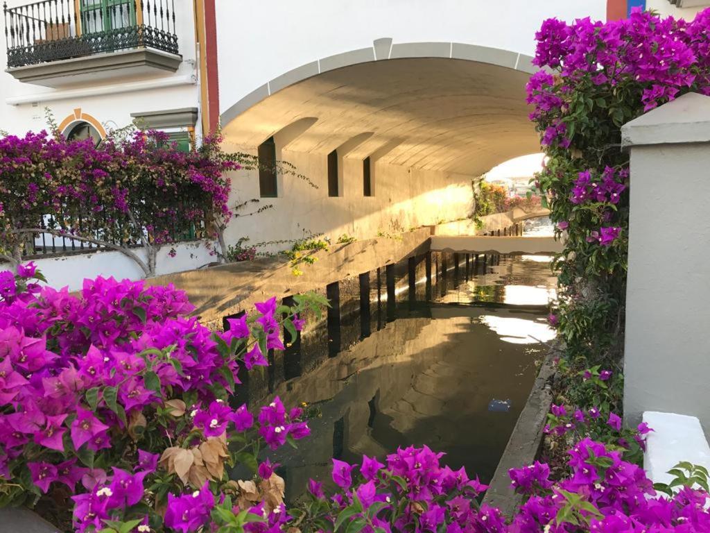 Apartamento El Cercado