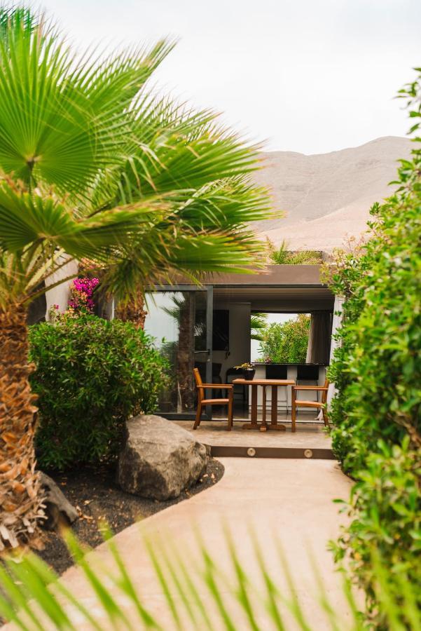 Casa Sua Famara
