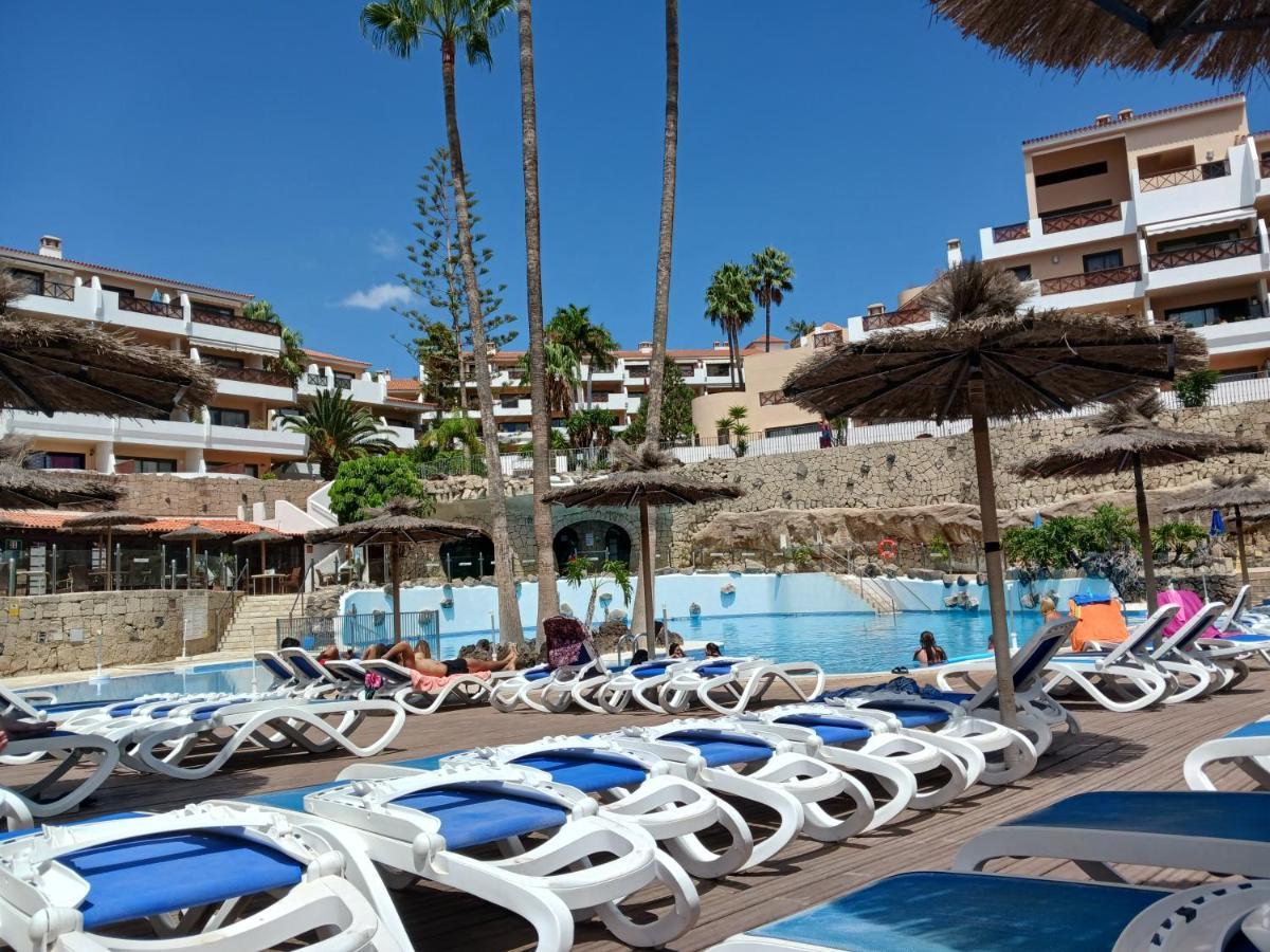 Chillout Albatros In Toller Anlage Mit Pool