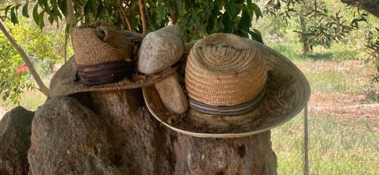 Apartamento Finca Limoneros Álora