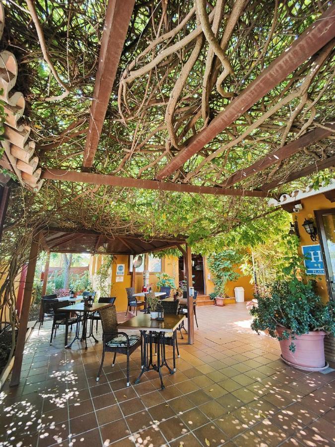 Hotel Doñana Blues