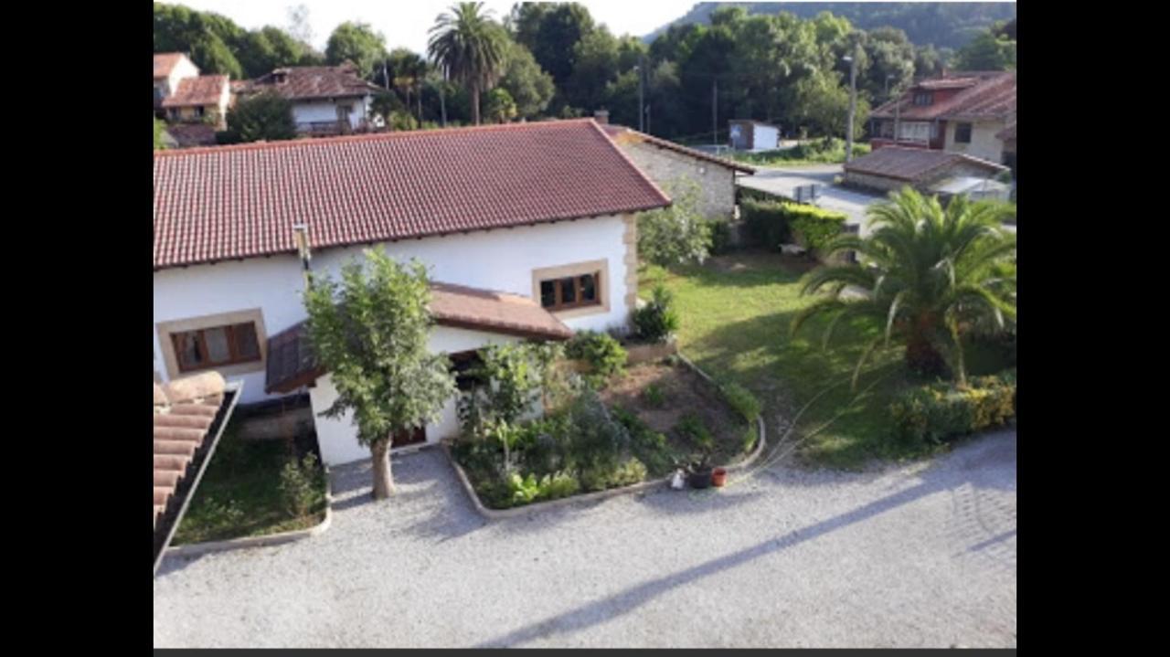 El Urogallo