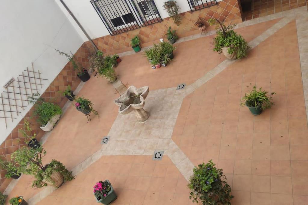 Acogedor Apartamento Duplex Nuevo