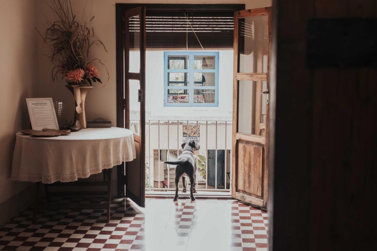 Casa San Miguel Country house