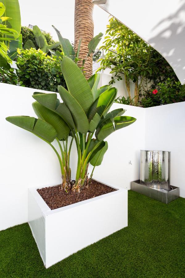 Apartamento Sol * Punta Del Hidalgo