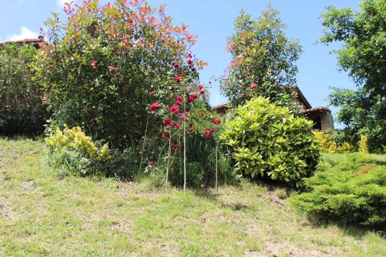 El Refugio De Luena
