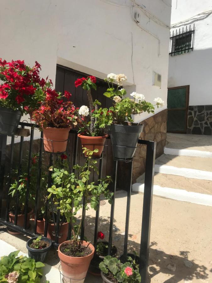 Casa Amigos Sorvilan- La Palmera Apartment