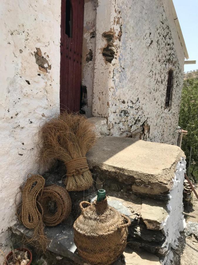 Casa Amigos Sorvilan- La Palmera
