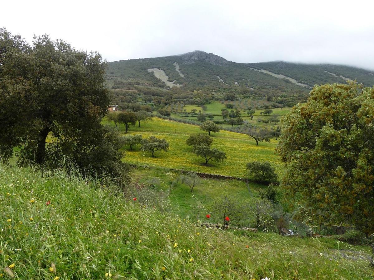 La Colmena Del Geoparque Casa rural