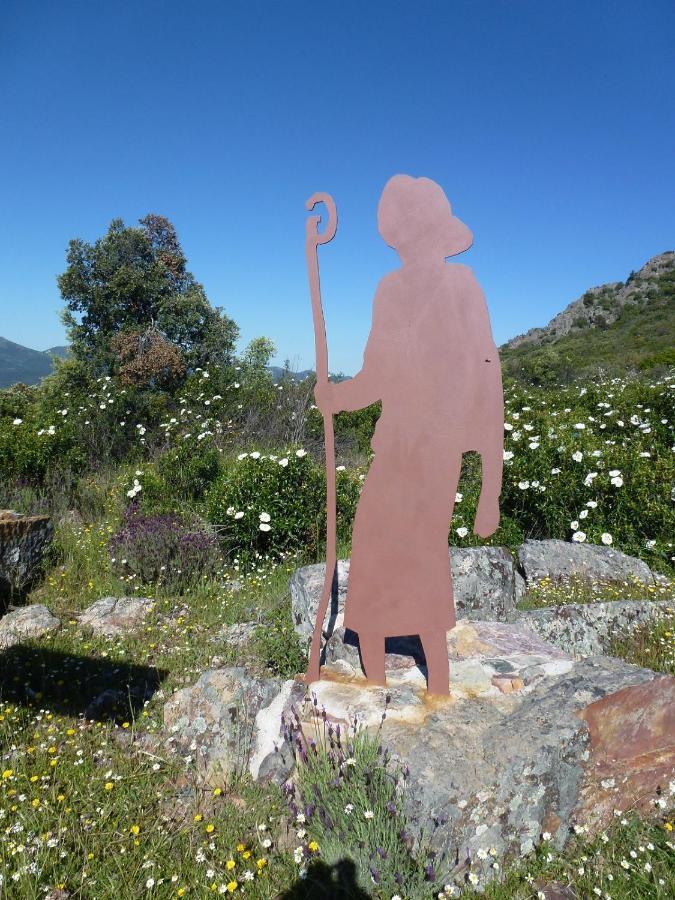 La Colmena Del Geoparque Casa rural
