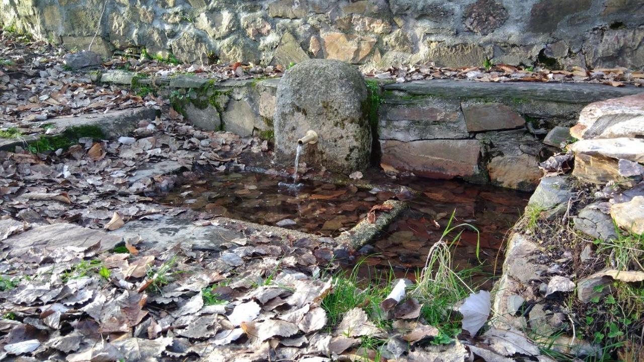 La Colmena Del Geoparque Casa rural