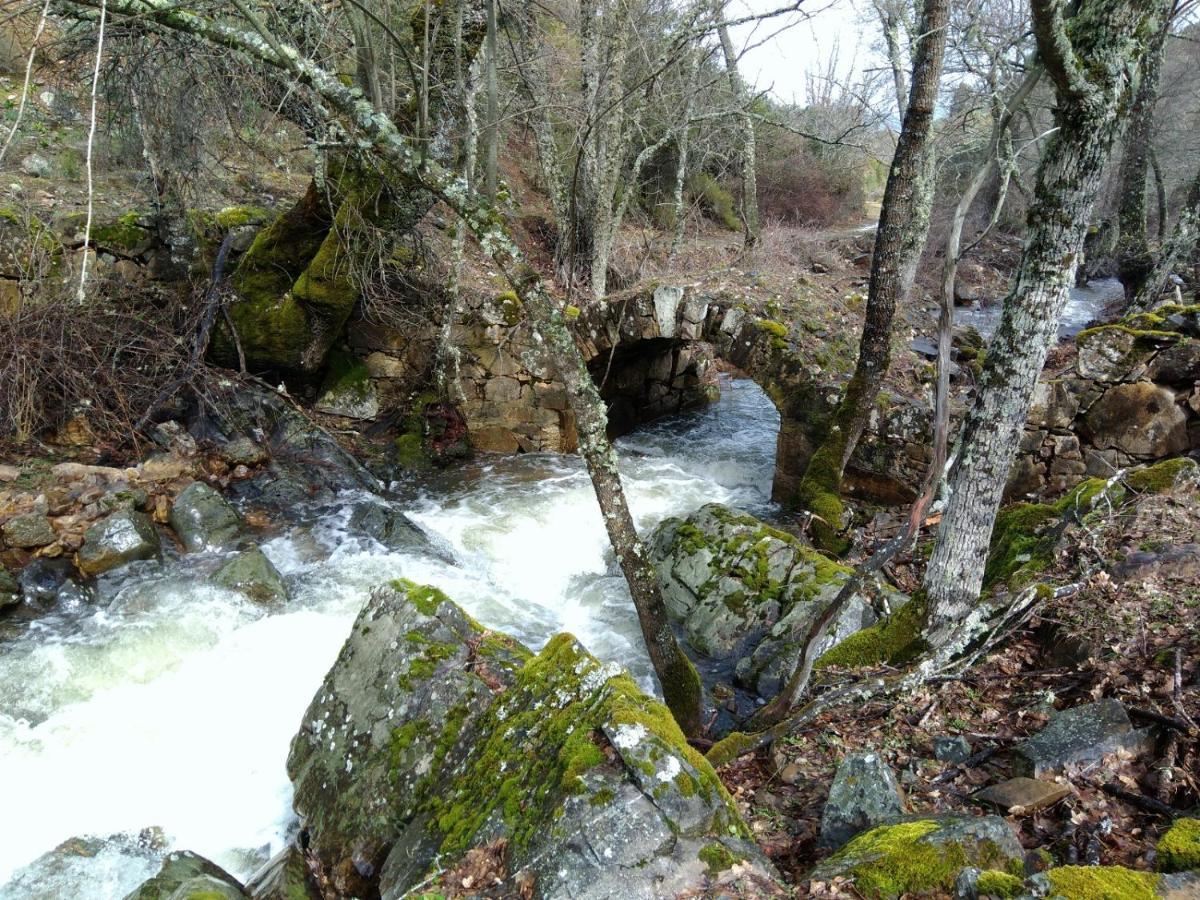 La Colmena Del Geoparque Navatrasierra