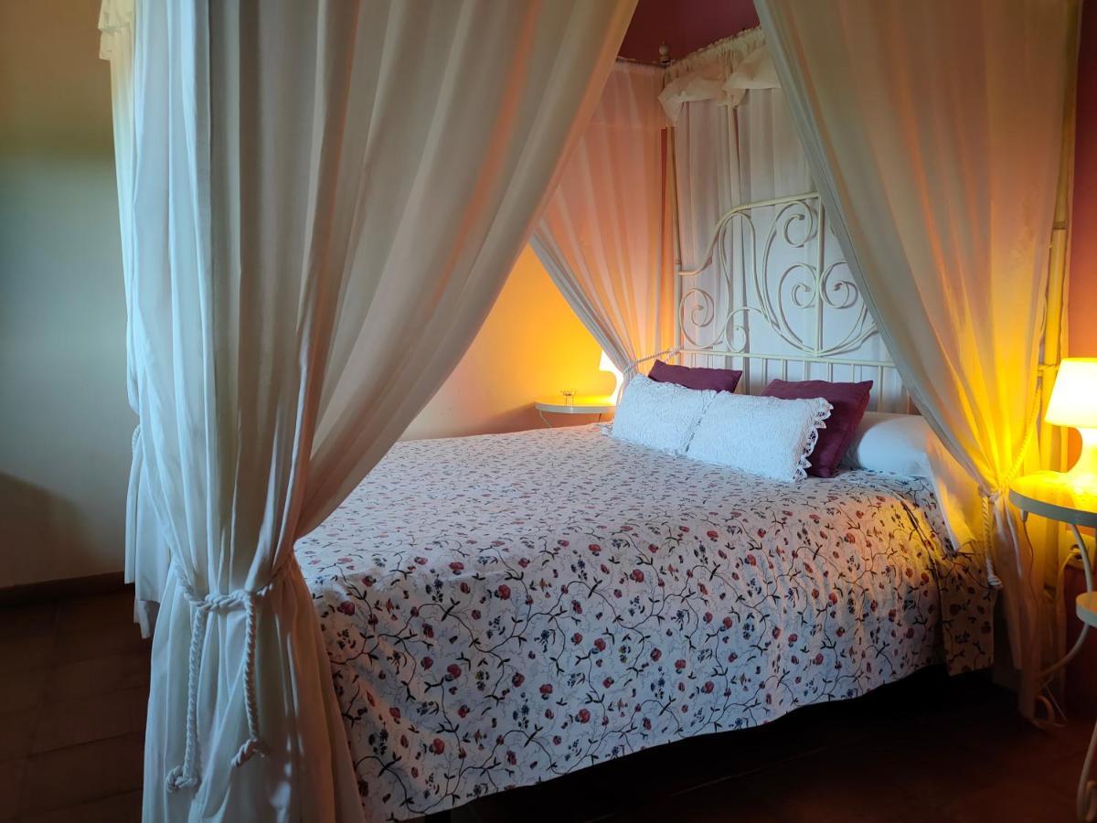 Casa rural Masia Toranes - Destino Starlight