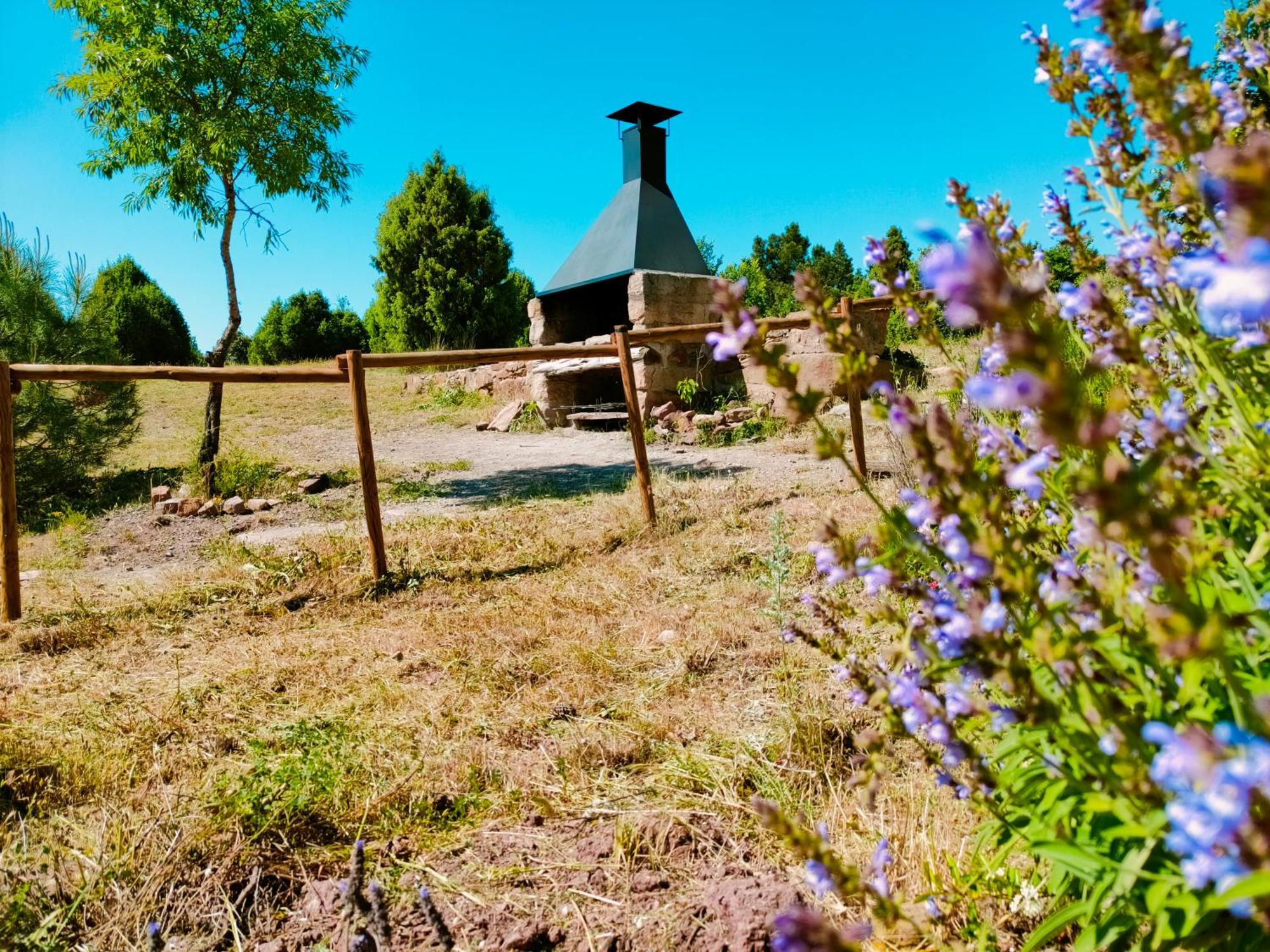 Casa rural Masia Toranes - Destino Starlight *