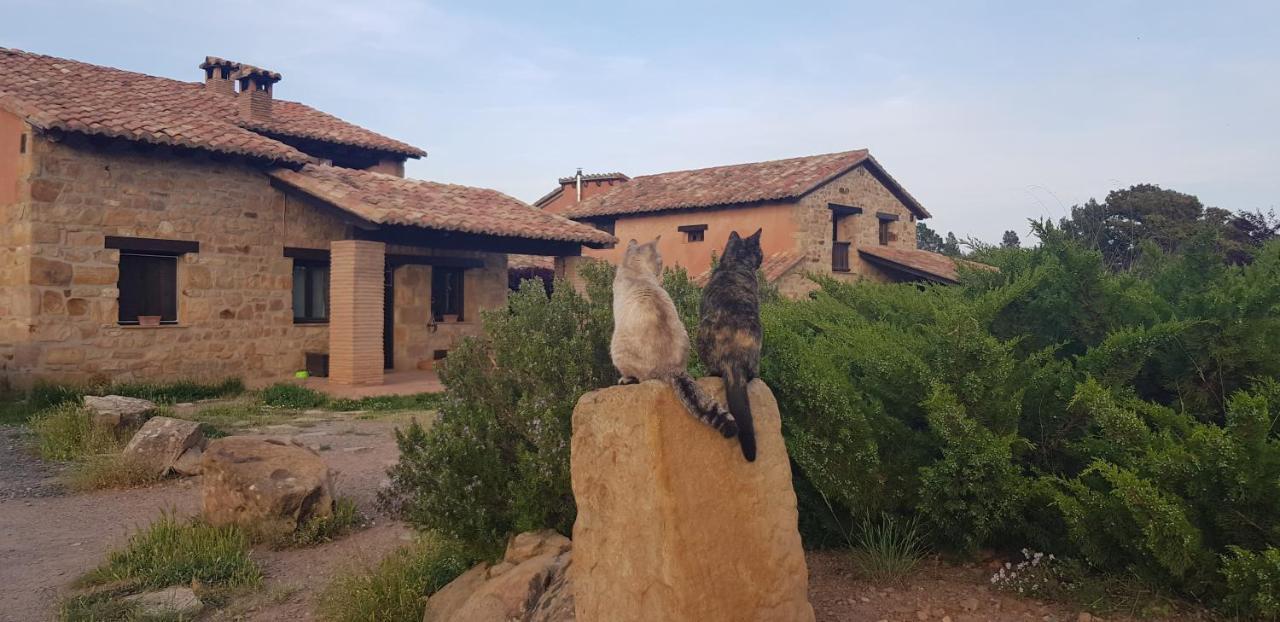 Masia Toranes - Destino Starlight Casa rural
