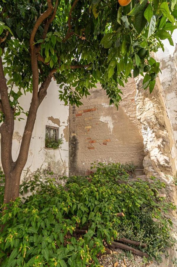La Casa De Arcos - Casco Historico - Parking Opcional Jerez de la Frontera