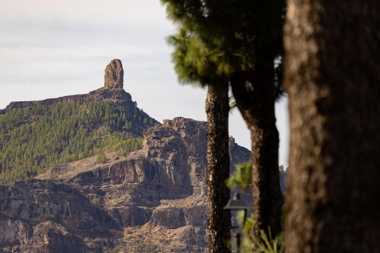 Casa Isabela With Roque Nublo View Apartamento