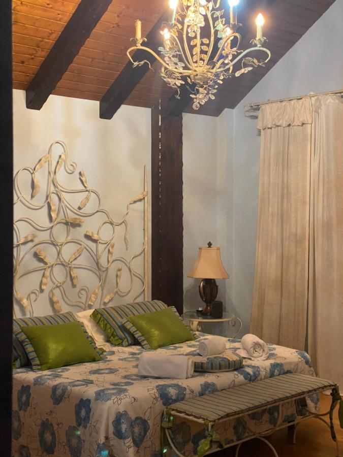Homestay Dario House
