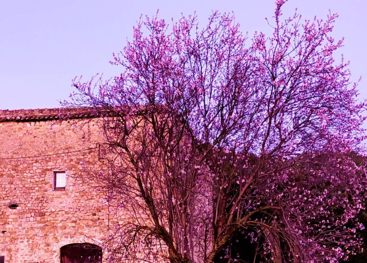 El Castell De Segueró Apartamento