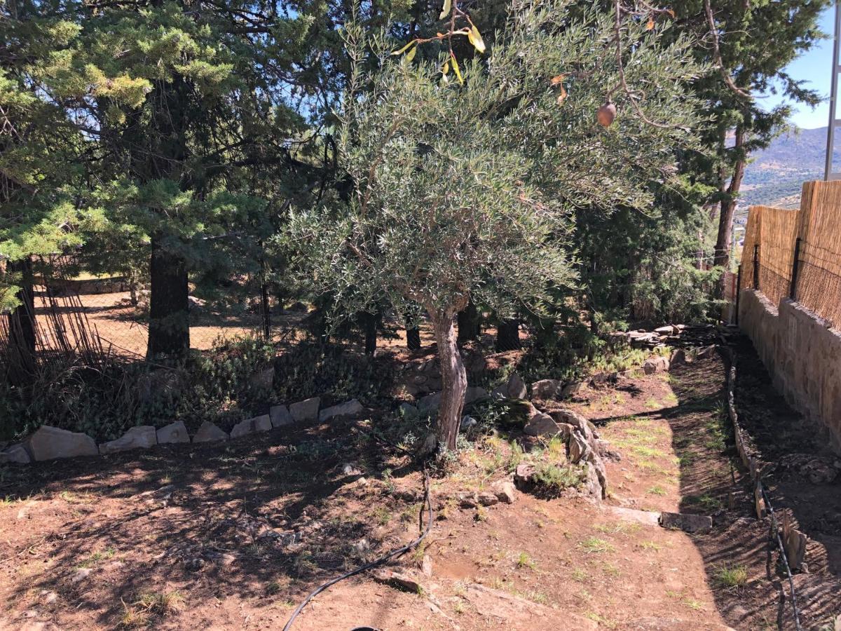 Olivos De Robledo De Chavela Сasa de vacaciones