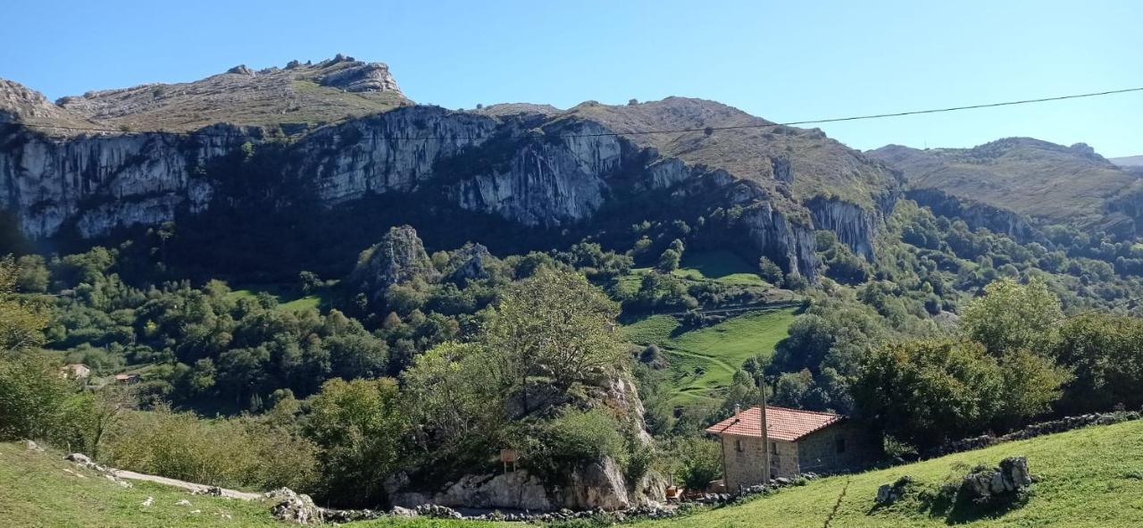 Amplia Y Cómoda Casa De Piedra Con Porche Y Jardín Сasa de vacaciones *