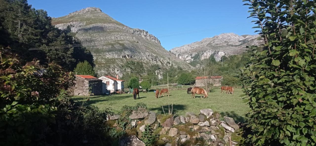 Amplia Y Cómoda Casa De Piedra Con Porche Y Jardín Сasa de vacaciones