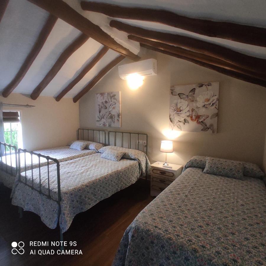 La Casa De La Abuela * Setenil De Las Bodegas