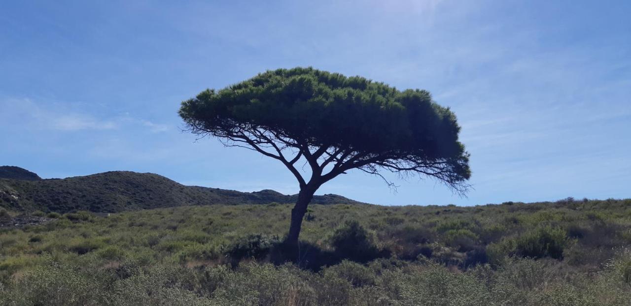 Vacacional Calblanque Junto Cabo De Palos *