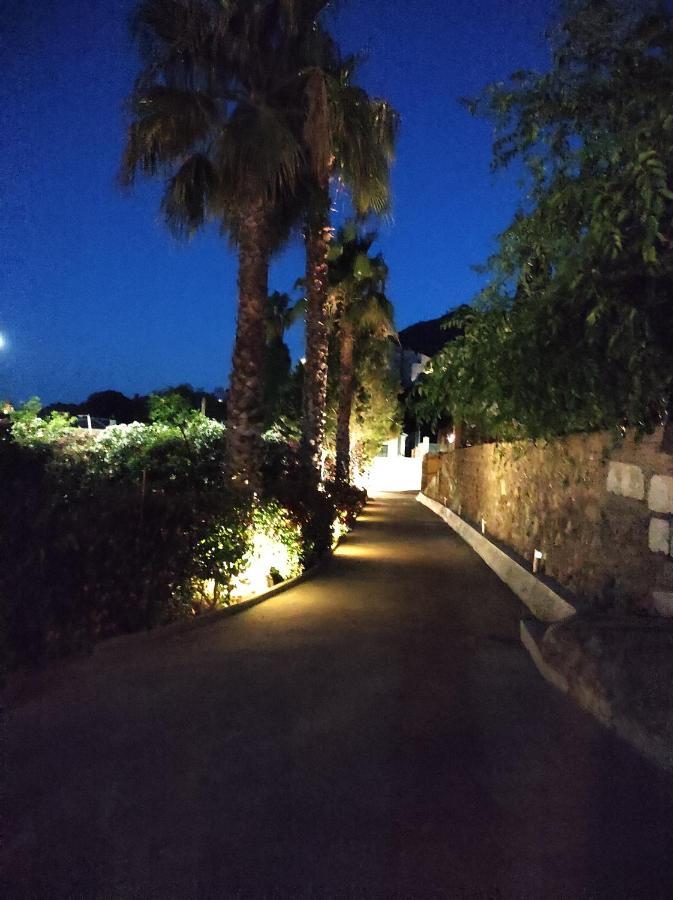 Huerta Bonela Villa *