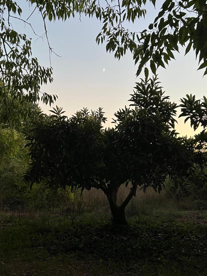 La Casita De La Dormilona Сasa de vacaciones *