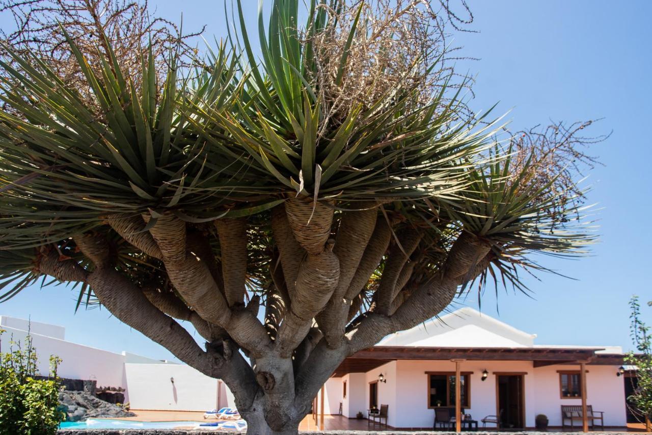 Casa Lola Lanzarote Piscina Climatizada Y Wifi Free Villa