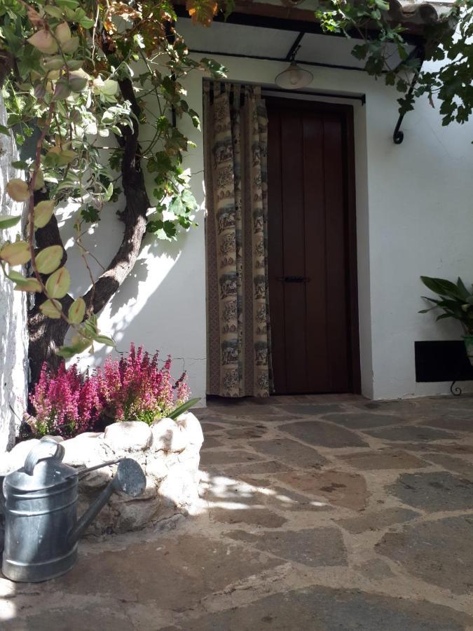 La Amena Bed and breakfast