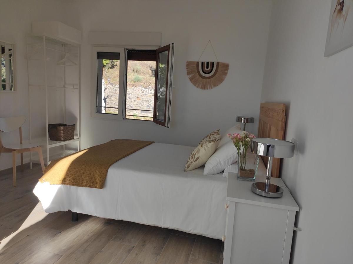 Casa rural Pajarica