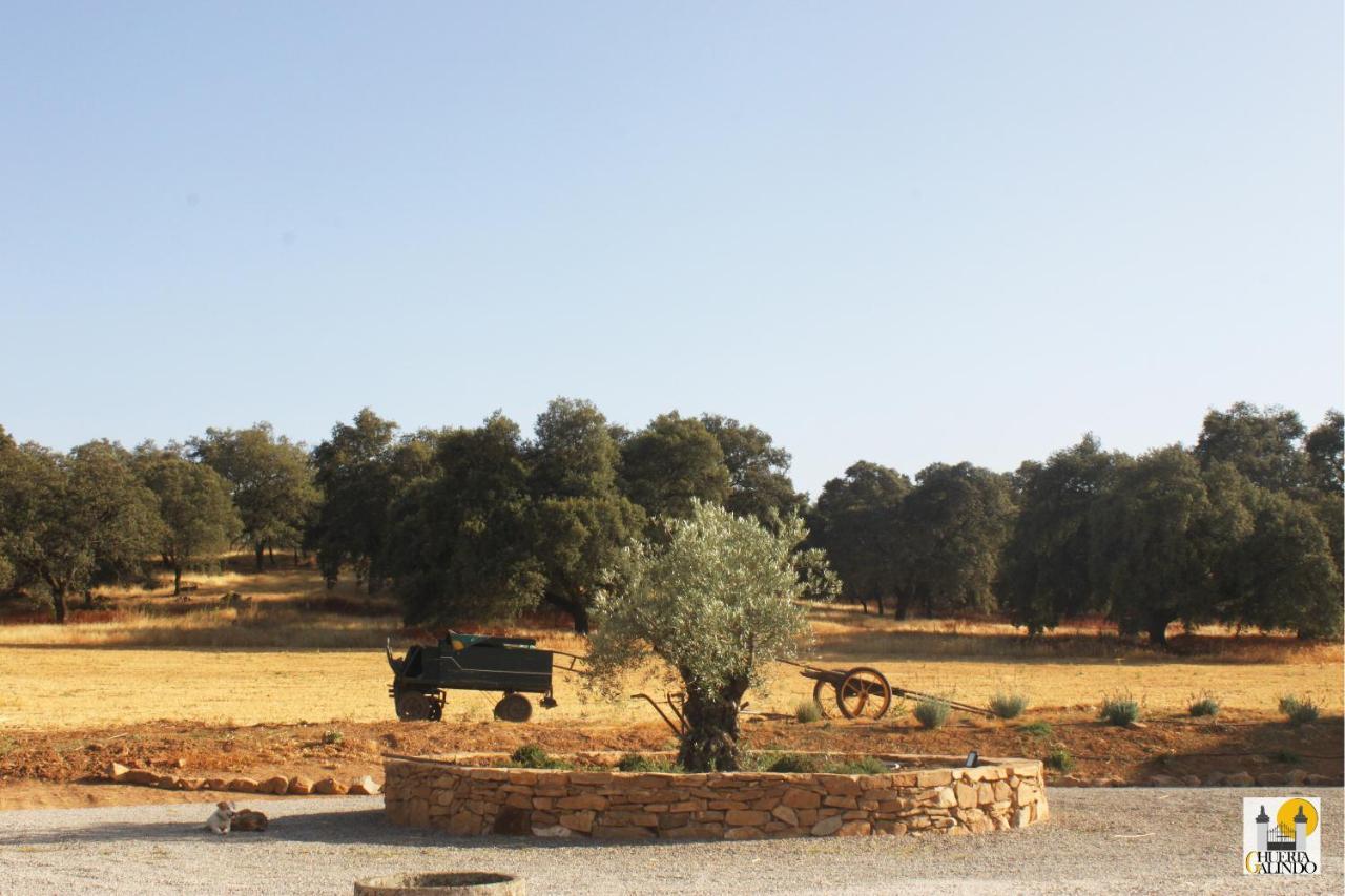 Casa rural Huerta Galindo *