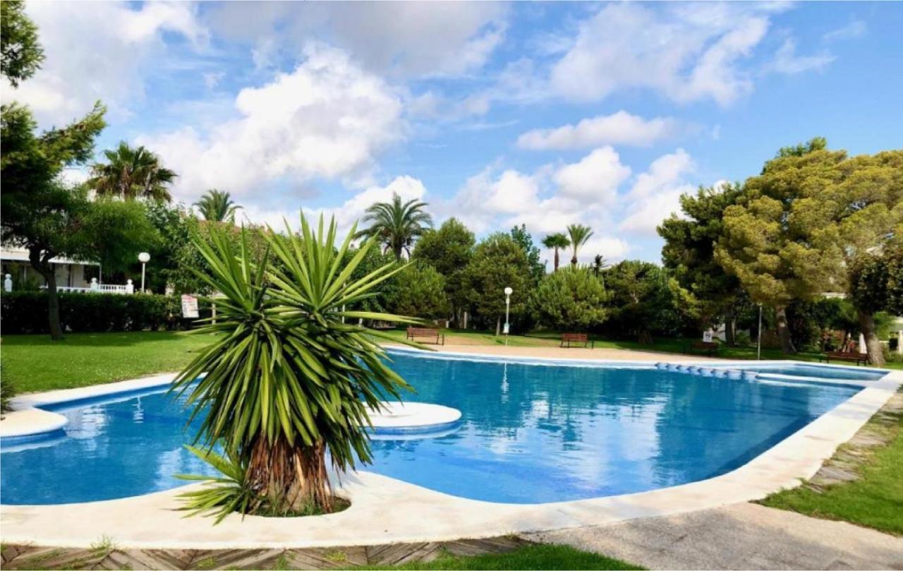 Santorini - Blue Dream Alacant - 1 *