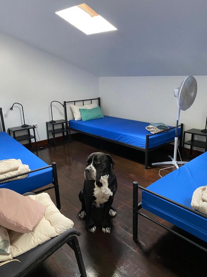 Hostal Vagabond Vieiras *