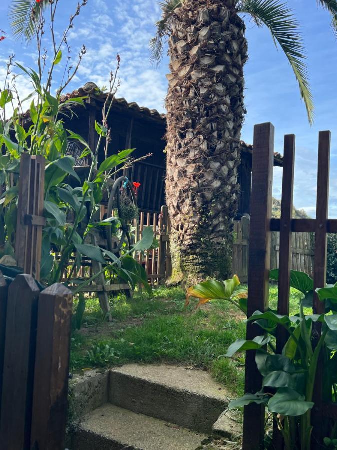 El Pareon Country house Sirviella
