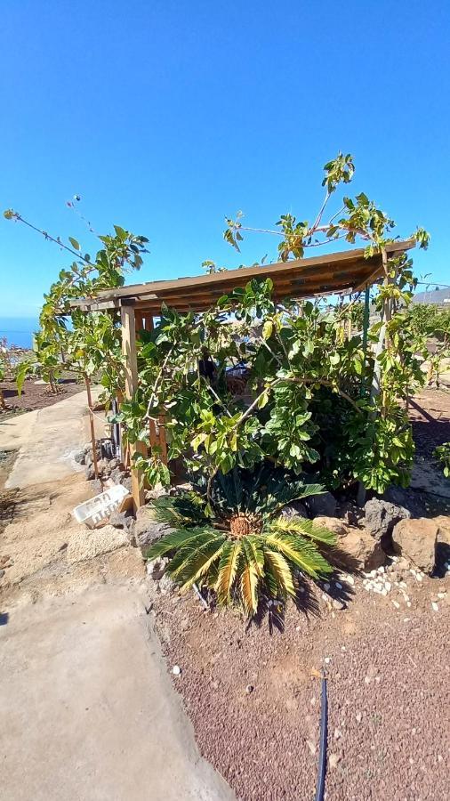Eco Camping Nueva Vida Country house
