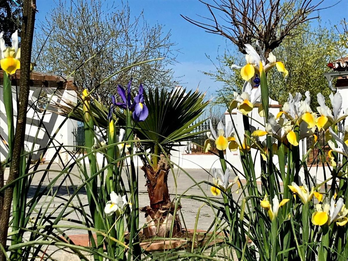 Finca La Vega Casa rural