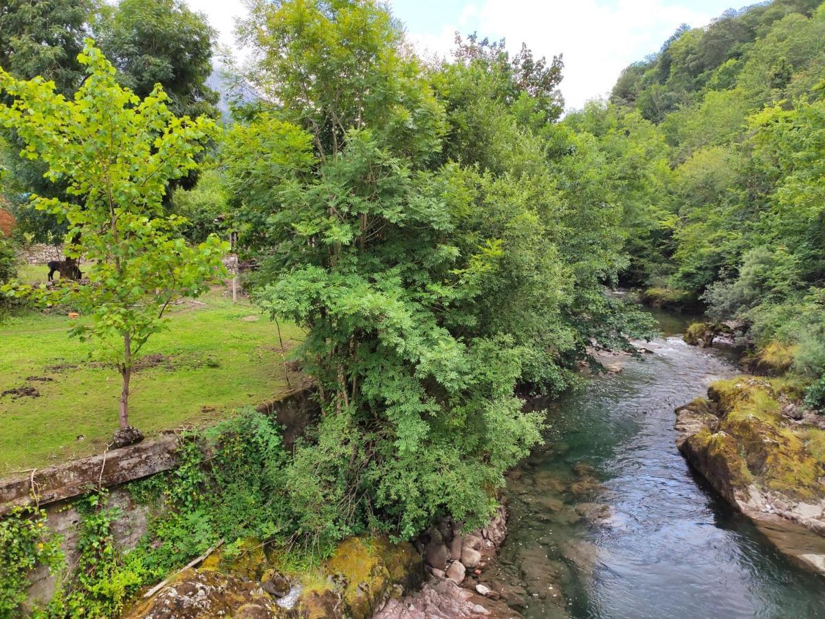 Aguas Del Sella Precendi