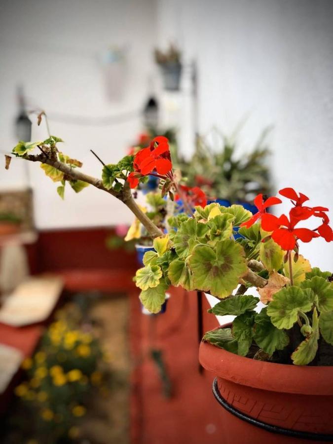 Country house La Jara Casa Rural