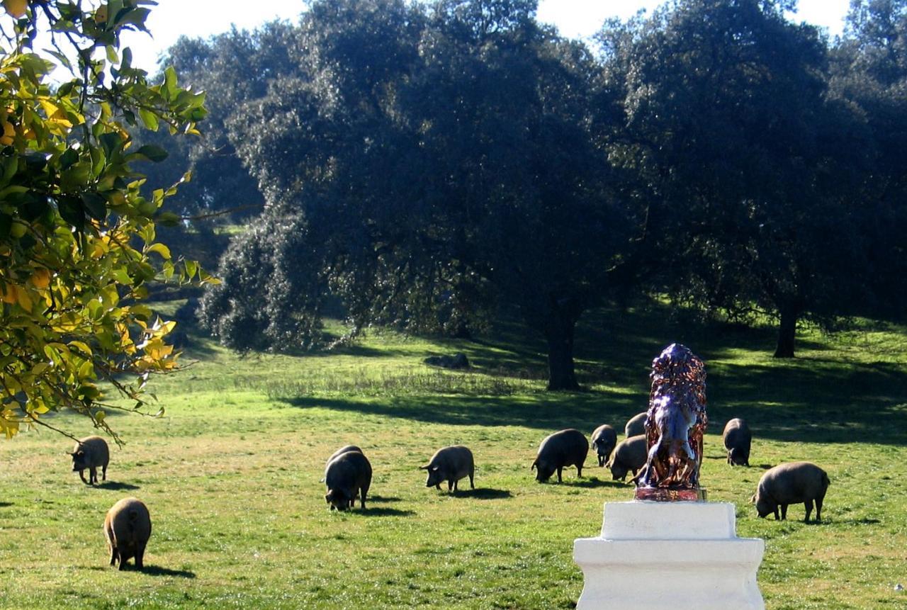 Huerta Galindo Casa rural