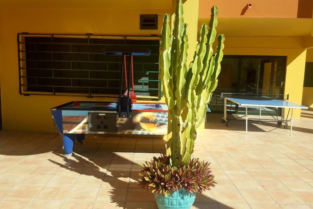 Vv Atlantic Garden With Pool View, Near Apartamento *